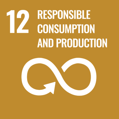 UN Goal - responsible consumption and production