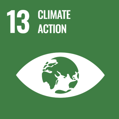 UN Goal - climate actie
